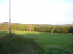 DSCN2521 DSCN2521