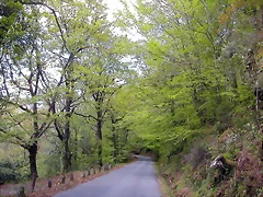 DSCN2433 DSCN2433