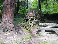 DSCN2439 DSCN2439