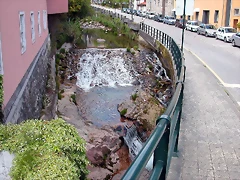 DSCN2446 DSCN2446