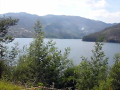 DSCN2464 DSCN2464