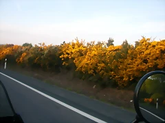 DSCN2523 DSCN2523