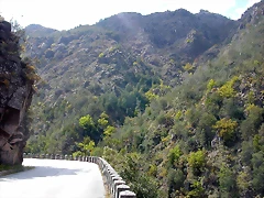 DSCN2435 DSCN2435