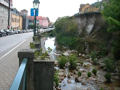DSCN2445 DSCN2445