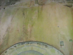 DSCN2317 DSCN2317