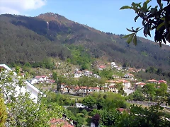 DSCN2450 DSCN2450