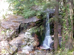 DSCN2437 DSCN2437