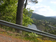 DSCN2503 DSCN2503