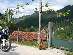 DSCN2449 DSCN2449