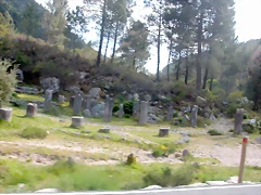 DSCN2497 DSCN2497
