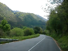 DSCN2399 DSCN2399