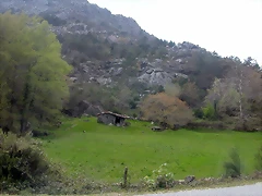 DSCN2490 DSCN2490