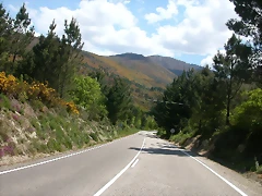 DSCN2384 DSCN2384