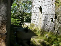 DSCN2287 DSCN2287