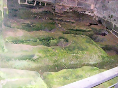 DSCN2321 DSCN2321