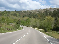 DSCN2501 DSCN2501