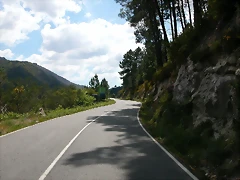 DSCN2398 DSCN2398