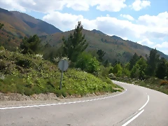 DSCN2383 DSCN2383