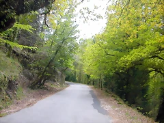 DSCN2431 DSCN2431