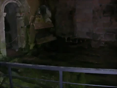 DSCN2307 DSCN2307
