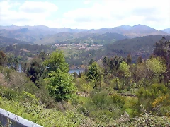 DSCN2366 DSCN2366