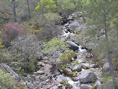 DSCN2415 DSCN2415