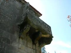 DSCN2330 DSCN2330