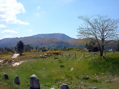 DSCN2382 DSCN2382