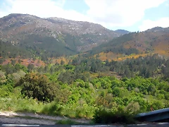 DSCN2391 DSCN2391