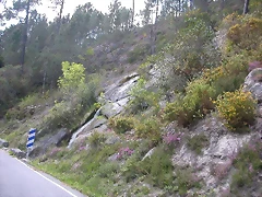 DSCN2400 DSCN2400