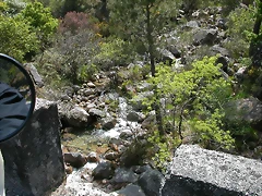 DSCN2405 DSCN2405