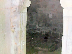 DSCN2296 DSCN2296