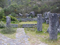 DSCN2408 DSCN2408