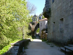 DSCN2329 DSCN2329