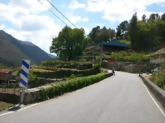 DSCN2390 DSCN2390
