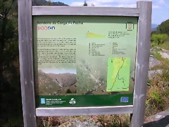 DSCN2421 DSCN2421