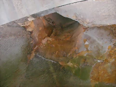DSCN2311 DSCN2311