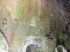 DSCN2305 DSCN2305
