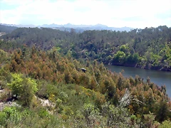 DSCN2361 DSCN2361