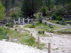 DSCN2407 DSCN2407