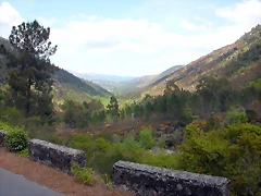 DSCN2413 DSCN2413