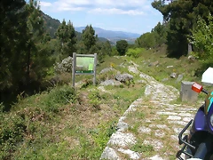 DSCN2420 DSCN2420