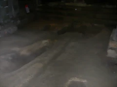 DSCN2315 DSCN2315
