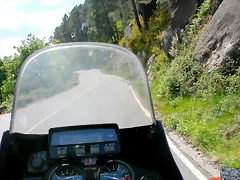 DSCN2397 DSCN2397