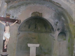 DSCN2313 DSCN2313