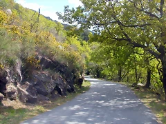 DSCN2430 DSCN2430