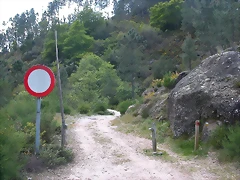 DSCN2414 DSCN2414