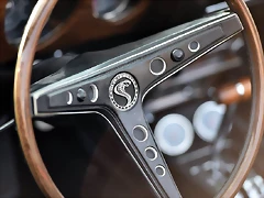 Shelby GT-500 M-767623 (18) Shelby GT-500 M-767623 (18)