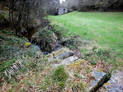 DSCN2998 DSCN2998