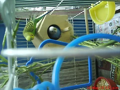 DSC04254